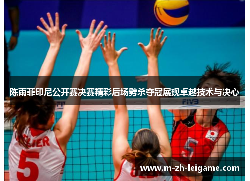 陈雨菲印尼公开赛决赛精彩后场劈杀夺冠展现卓越技术与决心 陈雨菲印尼公开赛决赛精彩后场劈杀夺冠展现卓越技术与决心
