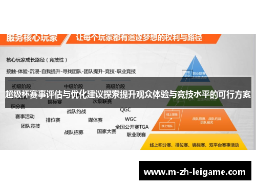 超级杯赛事评估与优化建议探索提升观众体验与竞技水平的可行方案