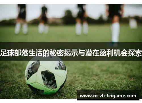 足球部落生活的秘密揭示与潜在盈利机会探索