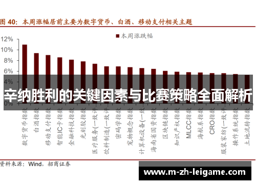 辛纳胜利的关键因素与比赛策略全面解析